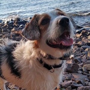 Meet your Posher, Holly